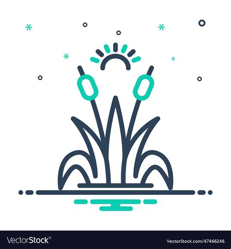 Reed Royalty Free Vector Image - VectorStock