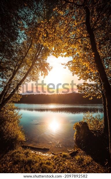 Tree Lake Sunset: Over 486,151 Royalty-Free Licensable Stock Photos ...