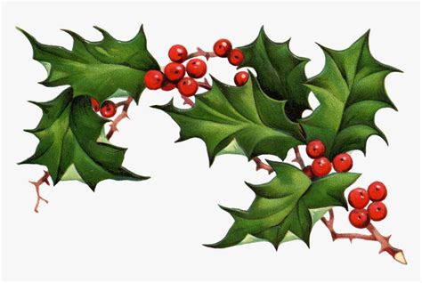 Christmas Holly Border Free Clipart Free Clip Art Images - Christmas ...