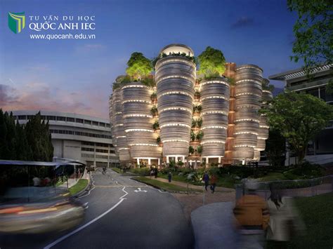 Học bổng Singapore Nanyang Institute of Management UP TO 67% năm 2025 ...