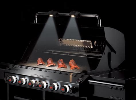 Weber Summit S 670