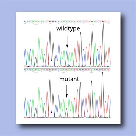 DNA Sanger Sequencing | Scientific services | Cogentech