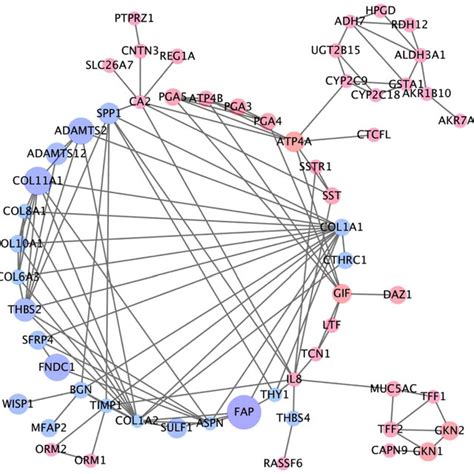 Protein-protein interaction analysis. Protein-protein interaction (PPI)... | Download Scientific ...