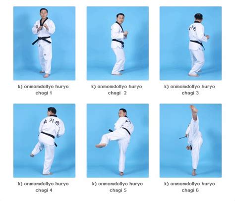 Taekwondo front kick – Artofit