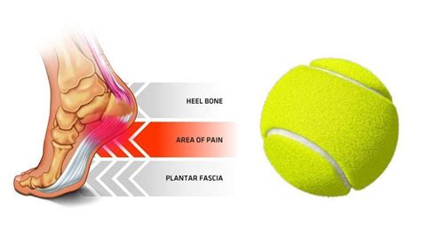 Mädchen dänisch Spezifikation tennis ball foot exercises Mädchen Erbse ...