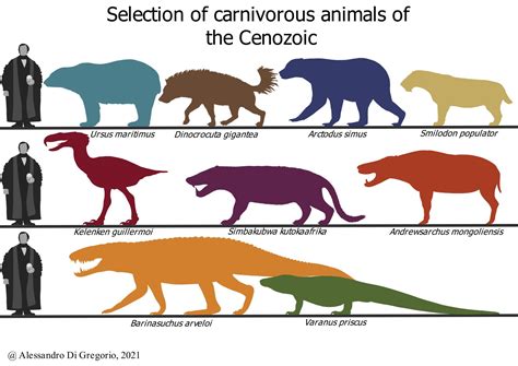 Cenozoic Central on Twitter | Экосистемы, Животные