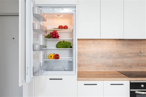 Common Miele Frost-Free Fridge Freezer Problems - Domex Ltd