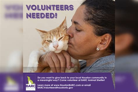 Houston's BARC Introduces Tiered Volunteer Program to Boost Animal