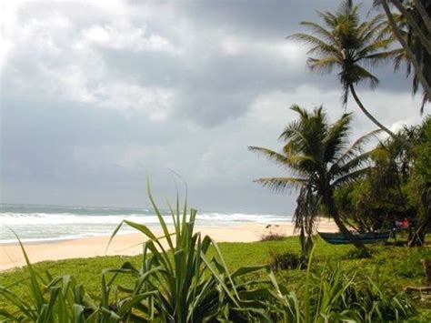 Negombo Beach - 2021 All You Need to Know BEFORE You Go (with Photos) - Tripadvisor