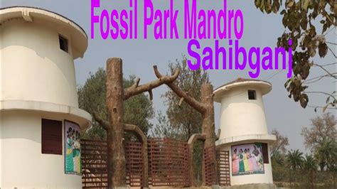 Fossils Park Mandro Sahibganj , Birbal Sahni Fossil Park Mandro. - YouTube