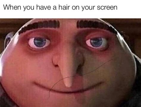 Hair on your screen : r/memes