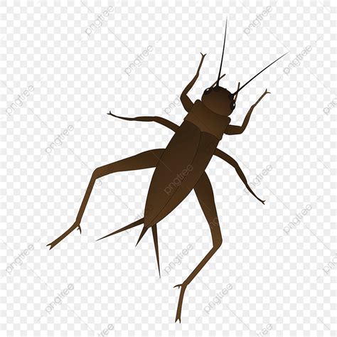 Insect Cricket Clipart Hd PNG, Original Cartoon Vector Insect Cricket Cricket Element, Cricket ...