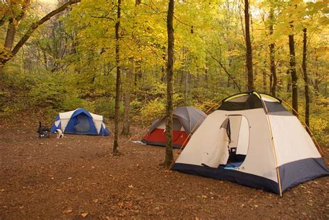 HOUCHINS FERRY CAMPGROUND - Reviews (Mammoth Cave National Park, KY)