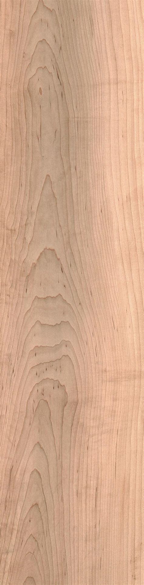 Hard maple | The Wood Database - Lumber Identification (Hardwood)