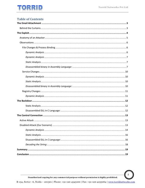 Malware Analysis Report