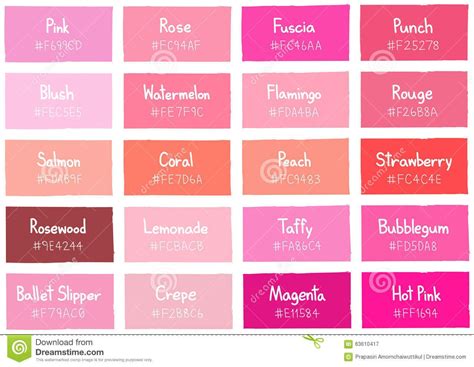 Pink Tone Color Shade Background With Code And Name Stock Vector - Image: 63610417 | Pink color ...