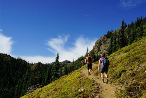 Pacific Northwest Seasons: Hiking the Olympic Peninsula: Panoramic Mt. Townsend