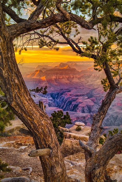 Grand Canyon National Park - William Horton Photography