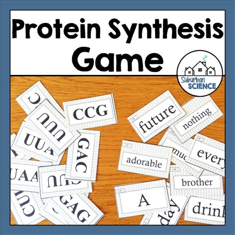 DNA, RNA & Protein Synthesis Activity - Suburban Science