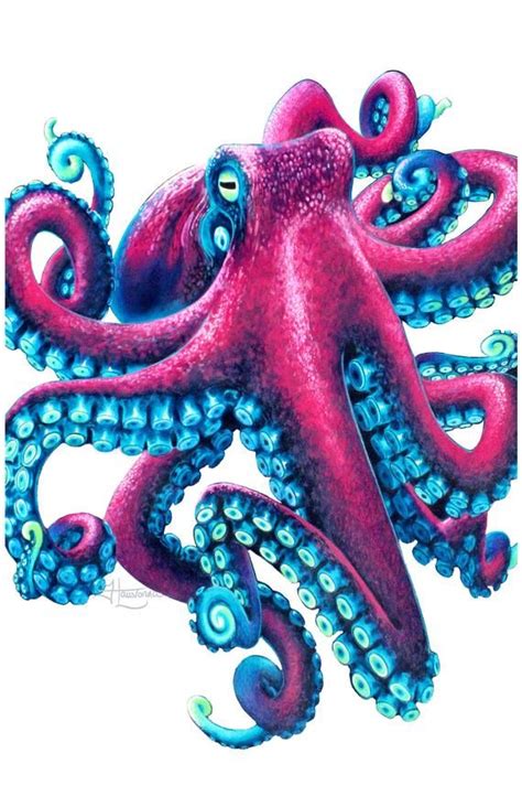 Pin by Mariana Schuneman on aquarela | Octopus drawing, Octopus ...