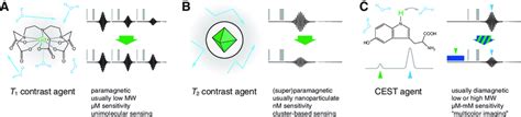 Mechanisms of contrast agents for molecular fMRI. Each panel represents... | Download Scientific ...