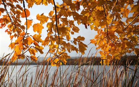 Lehigh Valley fall foliage bursts with color (PHOTOS) - lehighvalleylive.com