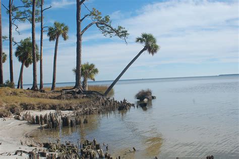 Apalachicola bay coast Apalachicola Florida, Saint George Island, God ...