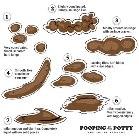 What Your Toddler's Poop is Telling You, In accordance with a Nurse ...