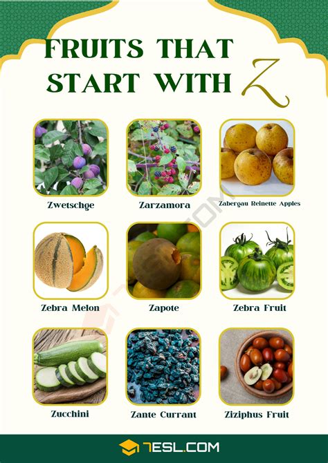 Fruits that Start with Z in English • 7ESL