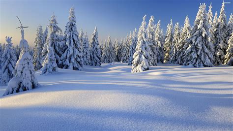 4K Winter Wallpapers High Quality Free Download