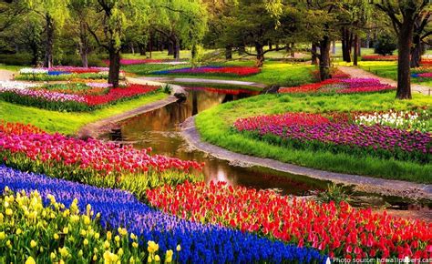 Interesting facts about Keukenhof Gardens | Just Fun Facts