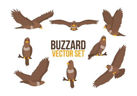 Buzzard Cartoons Vector 163588 Vector Art at Vecteezy