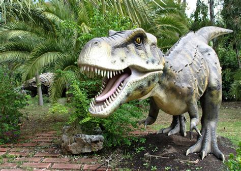 Explore and Learn at The Dinosaur Park - Explore Bastrop County