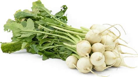 Baby Bunch Turnips Information and Facts