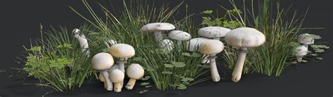 Agaricus Mushrooms Set - FlippedNormals