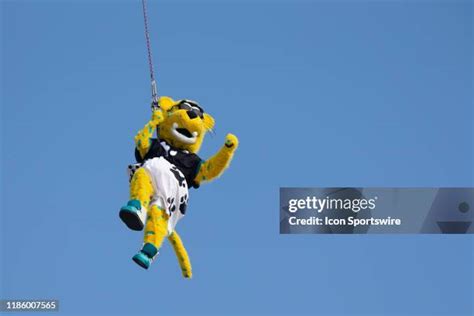 Jacksonville Jaguars Mascot Photos and Premium High Res Pictures ...