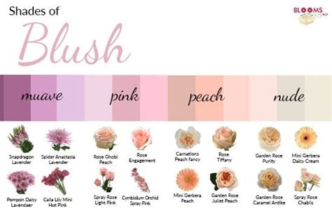 Shades of Blush - Blooms By The Box