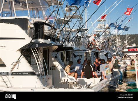 Game fishing boats moored in Cairns for a black marlin fishing tournament. Cairns, Queensland ...