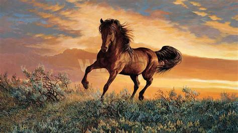 Wild Horses Wallpapers - Top Free Wild Horses Backgrounds - WallpaperAccess