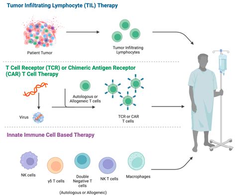 Frontiers Adoptive Cell Therapy In Pediatric And Young, 41% OFF