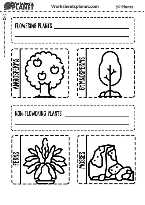 Classification Of Plants For Kids Worksheets