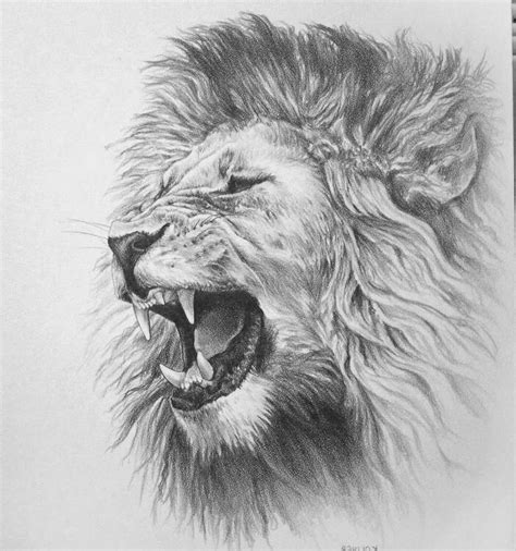 Roaring Lion Tattoo Drawing | Easy Tattoo Designs