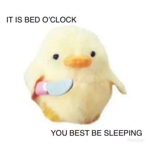 20 Best Go To Sleep Memes to Read at Midnight - ShutEye