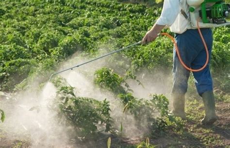 Las claves para la efectividad de la aplicación foliar de los bioestimulantes - Biologicals Latam