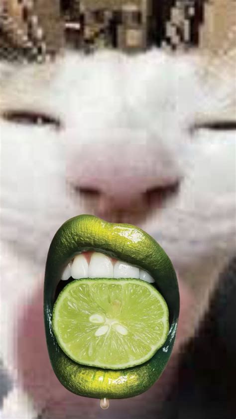 a white cat holding a lime slice in front of it's face with its mouth