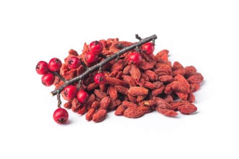 Goji Berries Side Effects And Why You Should Avoid Them - Gundry MD