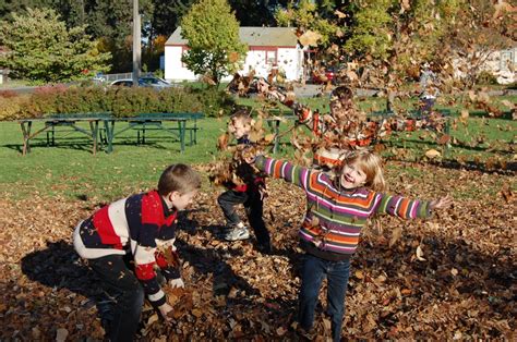 Jumping in the Leaves - Susan's Homeschool Blog Susan's Homeschool Blog