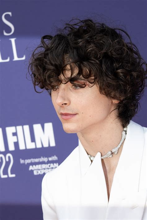 My Quest For Perfect Timothée Chalamet Hair | British Vogue