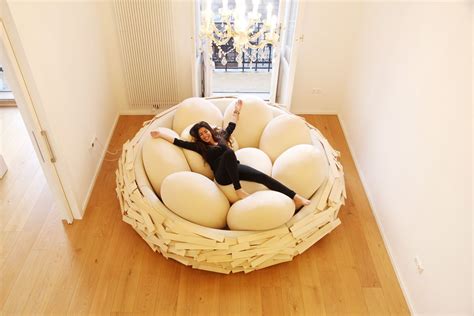 Giant Birdsnest 4 breeding new ideas - OGE Creative Group | Nest bed ...