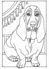 Coloring Page basset  Free Printables Img 28214 sketch template